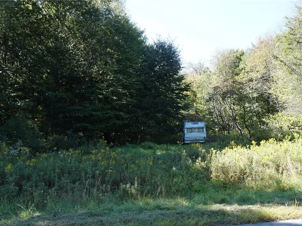 0 McCaw Rd #17, Williamstown, NY 13493