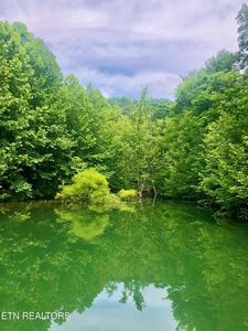 River Ridge Rd Tract 4, Maynardville, TN, 37807