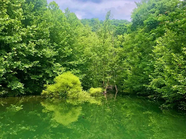 River Ridge Rd Tract 1, Maynardville, TN 37807