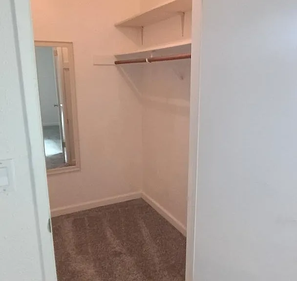 2474 Bolker Dr — Photo 8