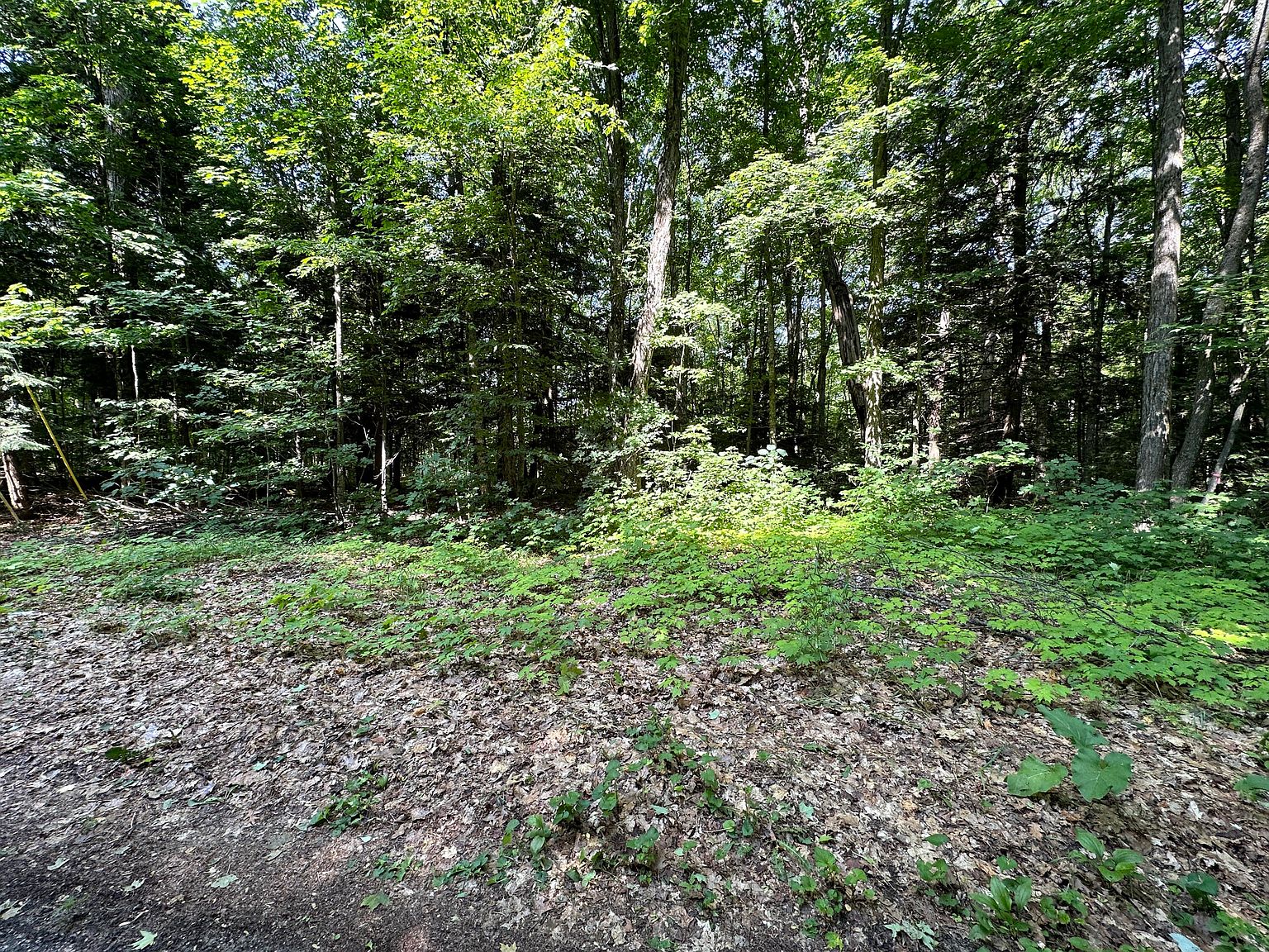 W Dixon Lake Rd, Gaylord, MI 49735 MLS 201825097 Zillow