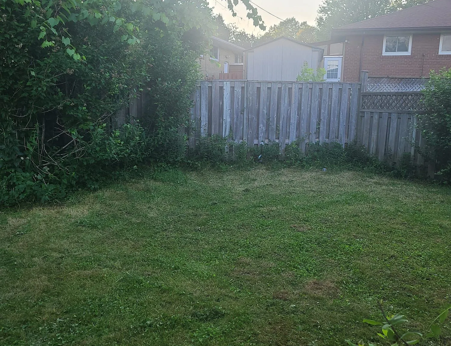 2 bed, $750 — Photo 4
