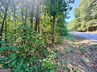3rd image of 40 Crescent Dr