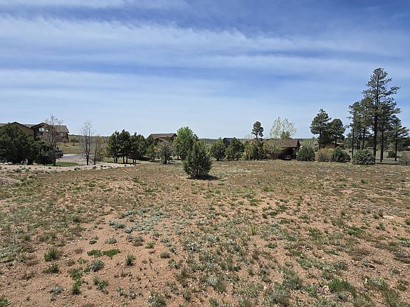 4th image of 2254 Big Bear Cir