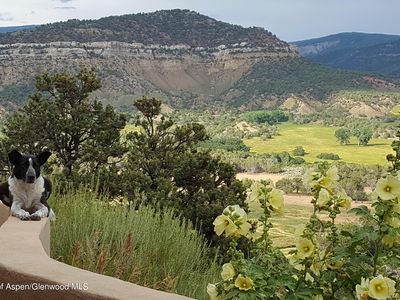 27067 Cactus Park Rd, Cedaredge, CO, 81413