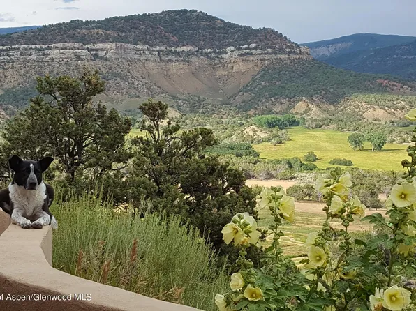 27067 Cactus Park Rd, Cedaredge, CO 81413