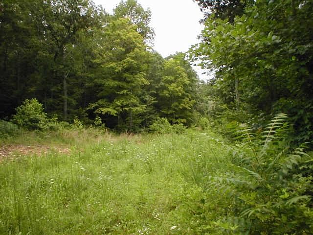 2nd image of Cuba Hollow Ln