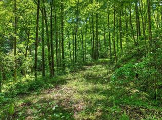 106 Mountain Creek Hollow Dr, Talking Rock, GA 30175
