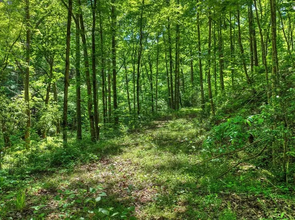 106 Mountain Creek Hollow Dr, Talking Rock, GA 30175