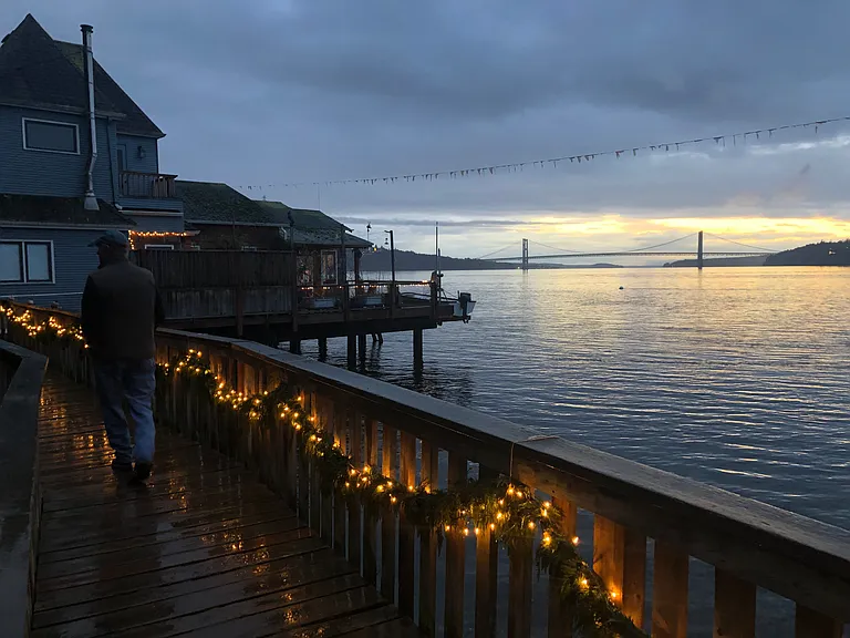 Walkway at christmas.