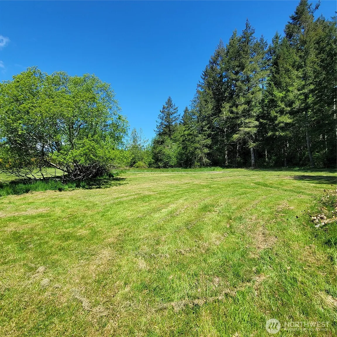 2332 Swansonville Road photo 1