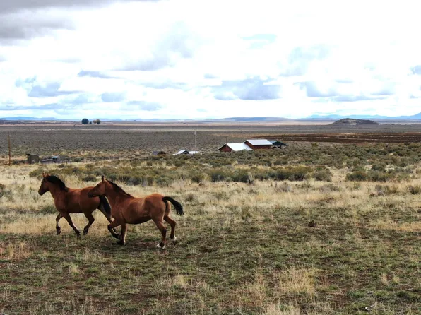 33920 Sodhouse Ln, Princeton, OR 97721