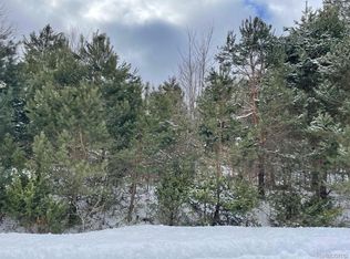 4064 Hemlock Ln, Alanson, MI 49706