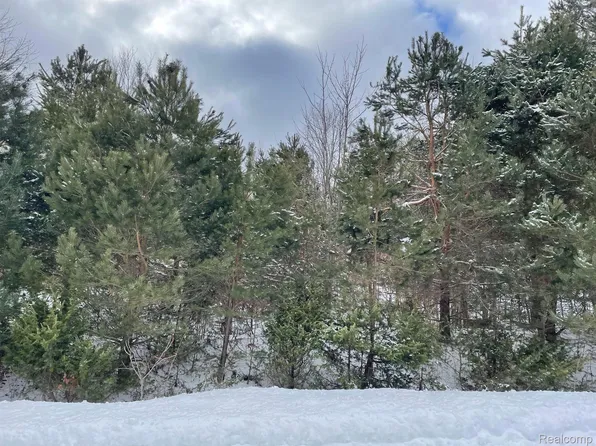 4064 Hemlock Ln, Alanson, MI 49706
