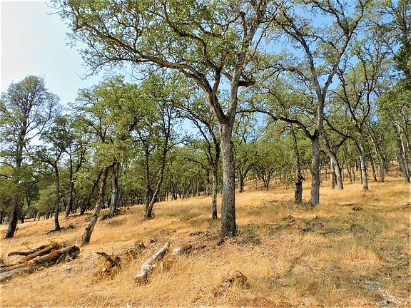 5th image of 112 Union Mine Rd