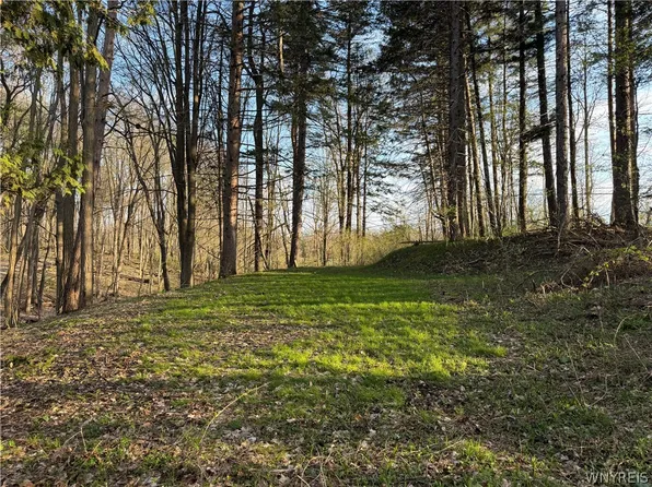 0 Pit Rd Lot 22, Java Center, NY 14082