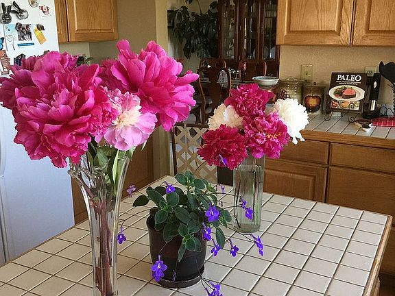 flowers from garden