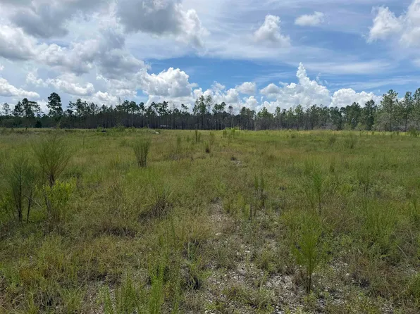 120&136&25ACR E Longleaf Dr, Bristol, FL 32321