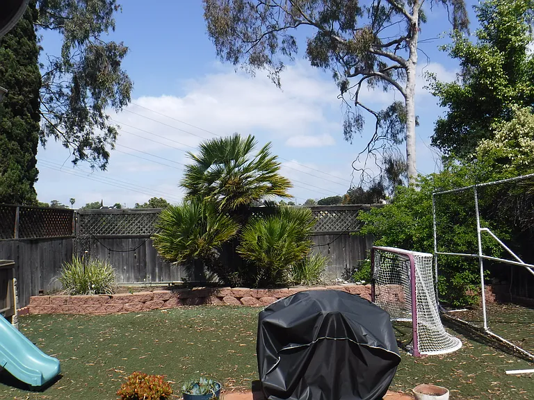 1612 Bridgeview Dr — Photo 20