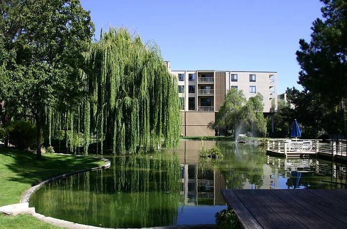 Central Common Area