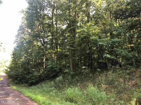 156 Navajo Trl, Martin, GA 30557