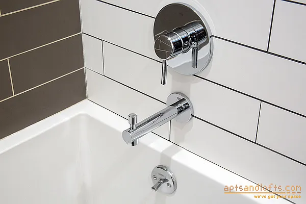 Rented by aptsandlofts.com | media 18