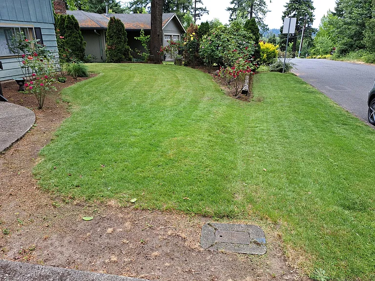 Front yard