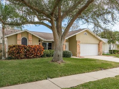 3048 Orchard Dr, Palm Harbor, FL, 34684