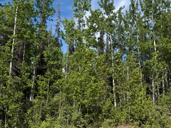 L2a Westwood Ln, Sterling, AK 99672