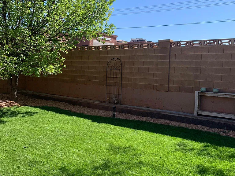 Back yard
