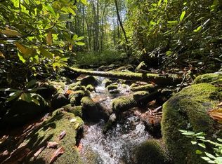 0 Deep Gully, Bryson City, NC 28713