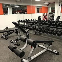 Rented by Sieber International