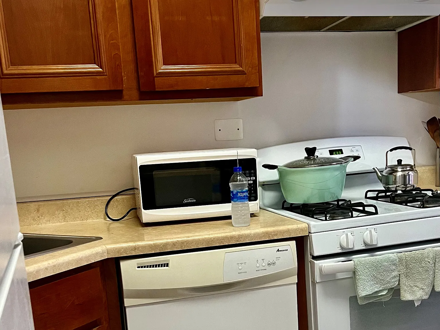 2 bed, 850 sqft, $2,550 — Photo 4