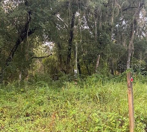 5th image of 104 Floradandy Rd Lot 28