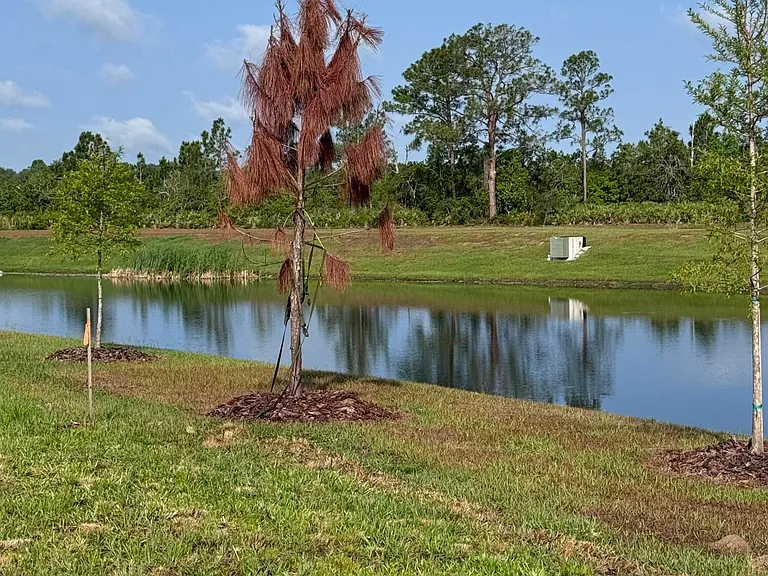 3015 Sanctuary Dr — Photo 10