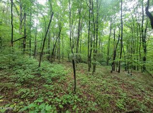 Long Branch Dr, Jamestown, TN 38556