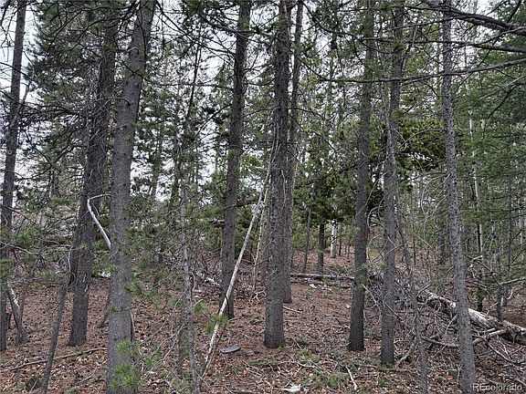 5th image of 34251 Skyline Drive LOT 044124