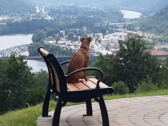 Beautiful Views