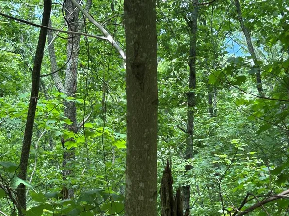 0 Ten Pointe Trl, Murphy, NC 28906