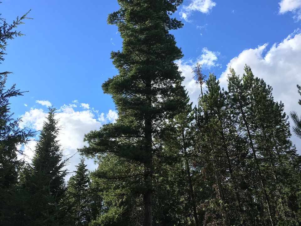 2nd image of 823 Lost Mile Rd