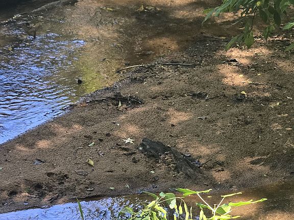 3rd image of 3065 Smokey Rd