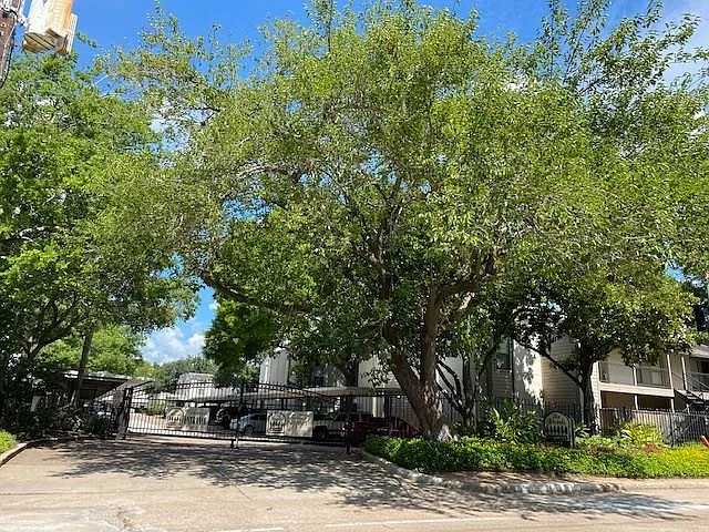 1100 Augusta Dr #46 — Photo 42