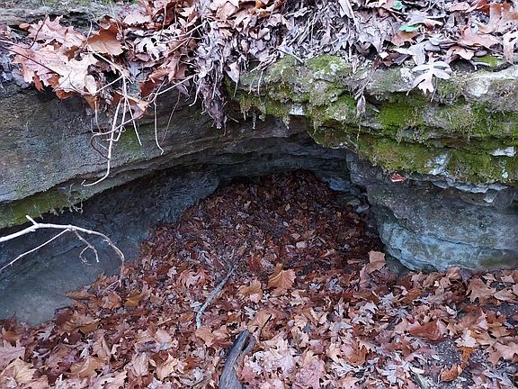 4th image of 9015 Stallion Bluff Road