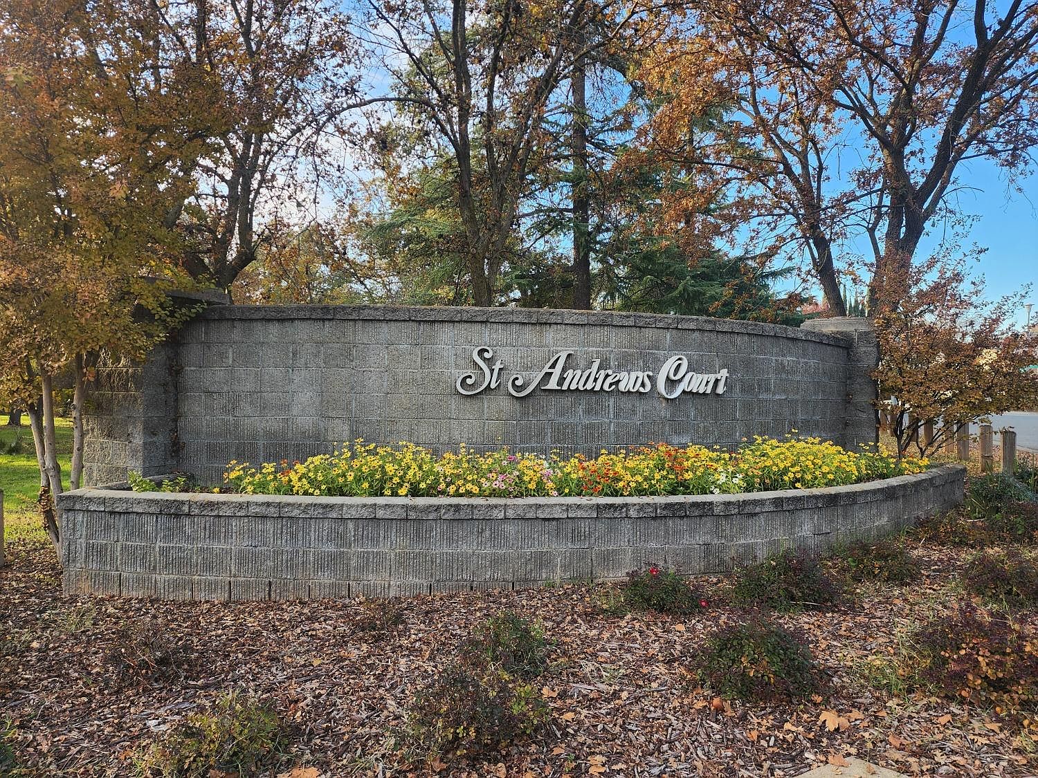 こなは TERMOTO テラモト T-REV αシステム ZX-12R('00〜'03) TE4770