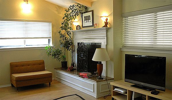 Gas/Wood-burning fireplace 