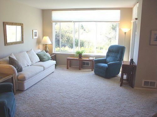 Large living room with private view of wetlands and nature.
