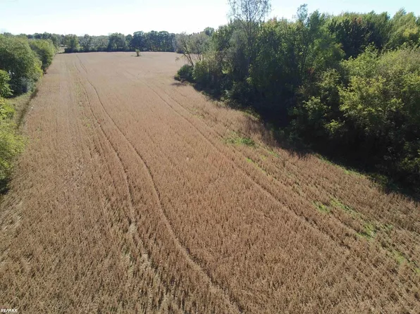 73549 Coon Creek Rd, Armada, MI 48005