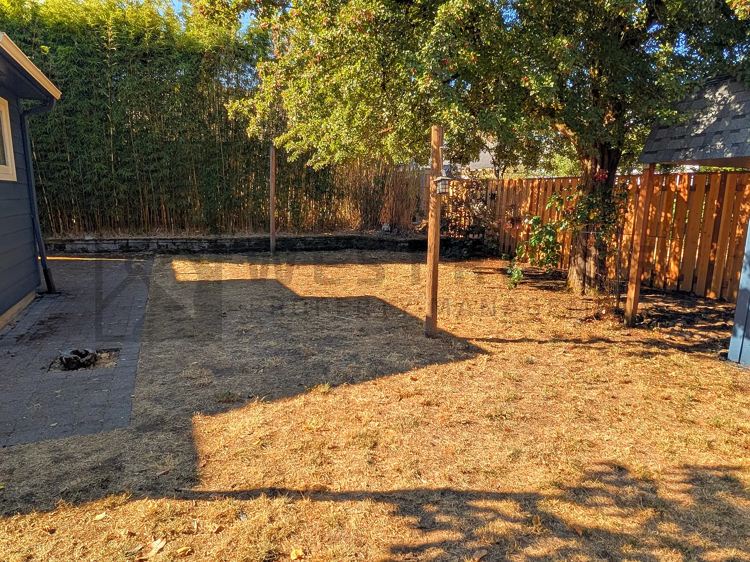 2 bed, 1428 sqft, $2,250 — Photo 4