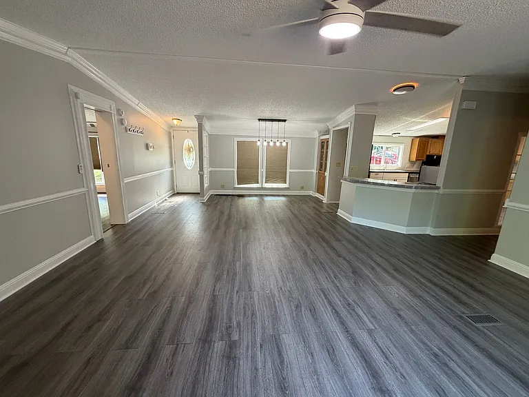 207 Big Tree Dr — Photo 5