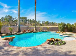 20207 Ash Glen Ct, Spring, TX 77388